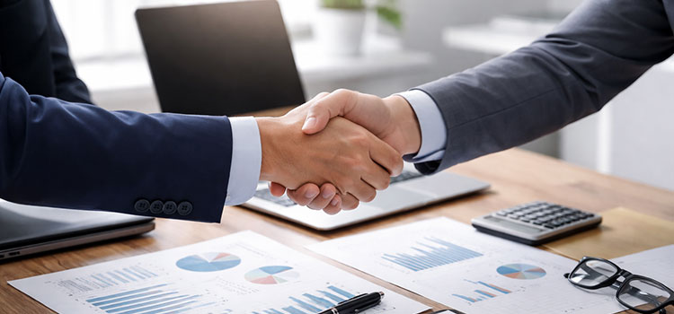 Cosa Risolve Netmanager