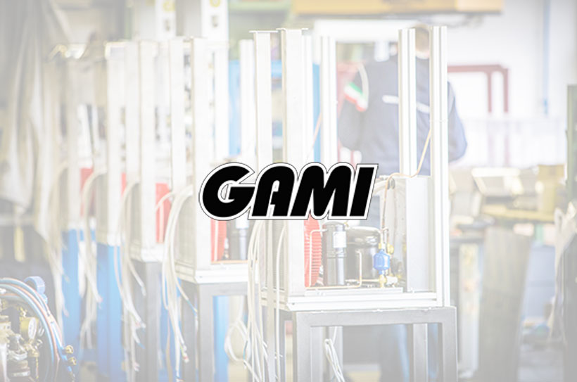 NetManager per Gami Srl 