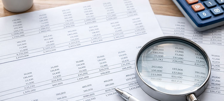 Fatturato e Bilanci dei tuoi clienti e fornitori