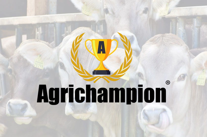 NetManager per Agrichampion srl